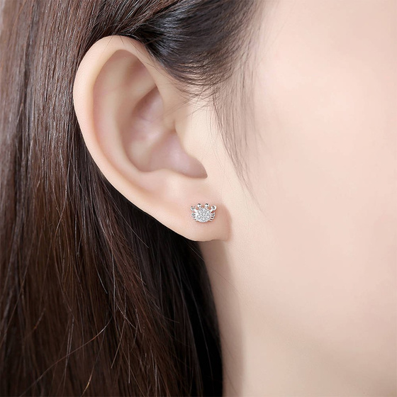 Srebrne Kolczyki Owady z Cyrkoniami